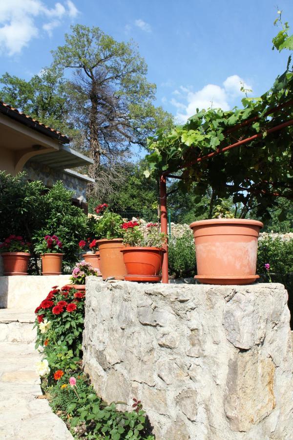 Holiday Home Gazevic Virpazar Zewnętrze zdjęcie