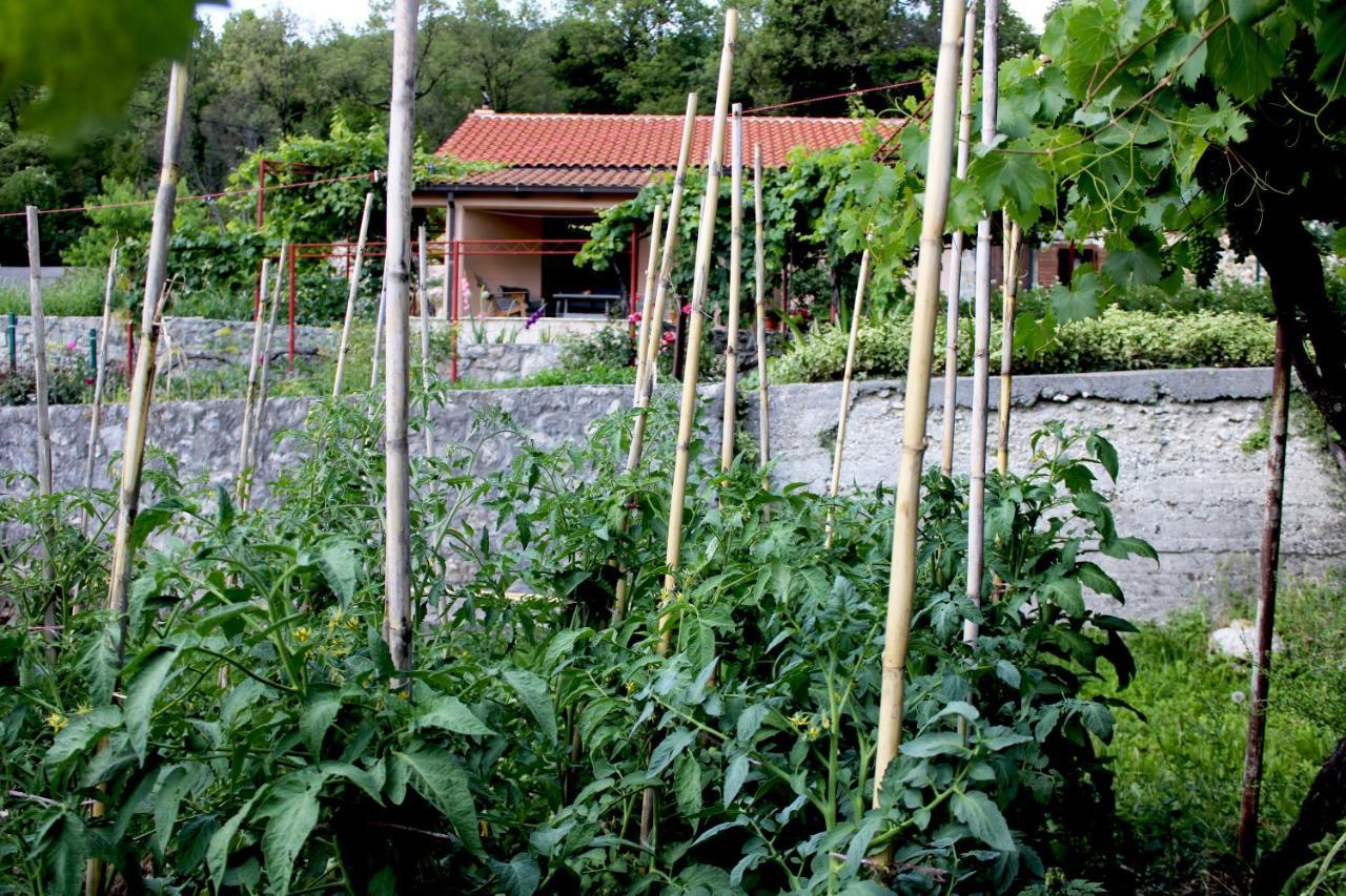 Holiday Home Gazevic Virpazar Zewnętrze zdjęcie