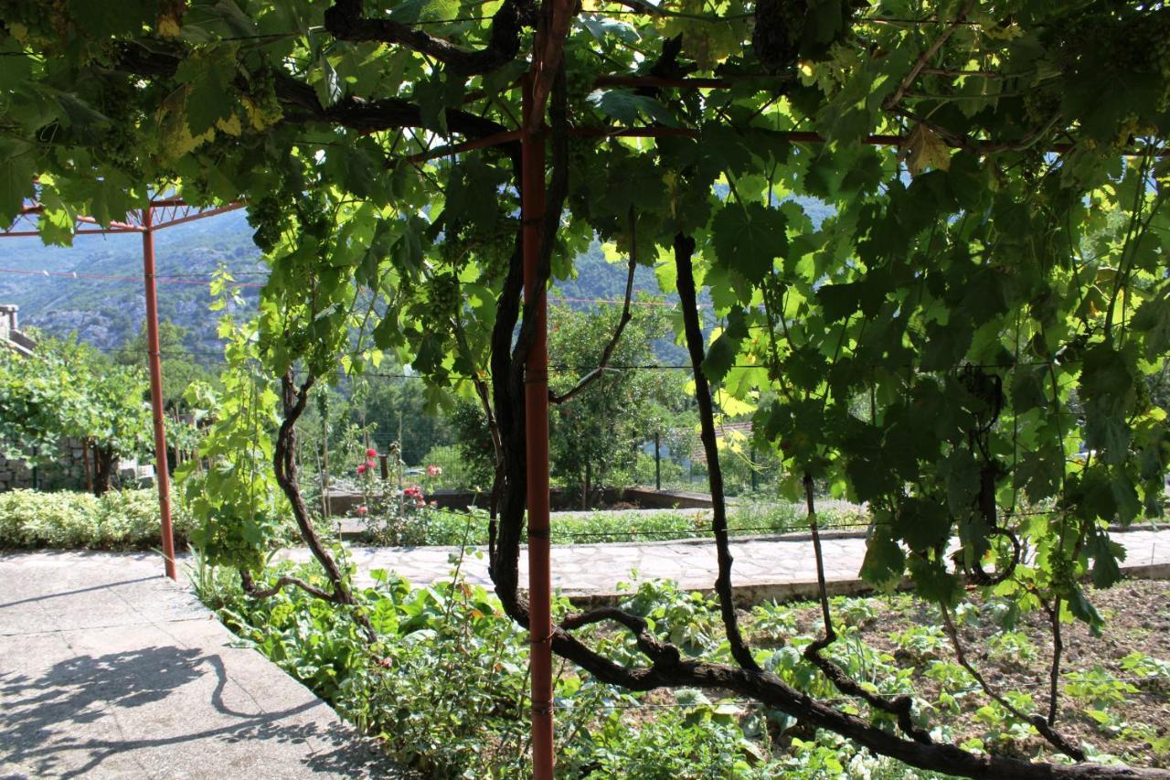 Holiday Home Gazevic Virpazar Zewnętrze zdjęcie