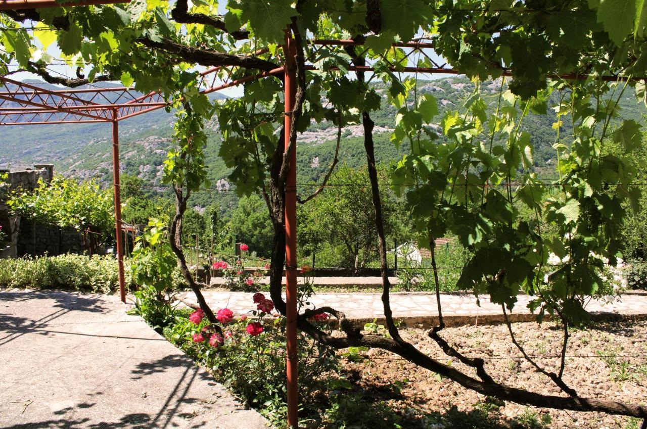 Holiday Home Gazevic Virpazar Zewnętrze zdjęcie